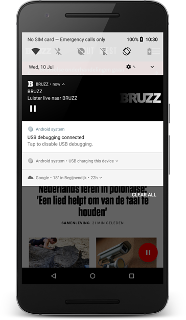 Screenshot of BRUZZ